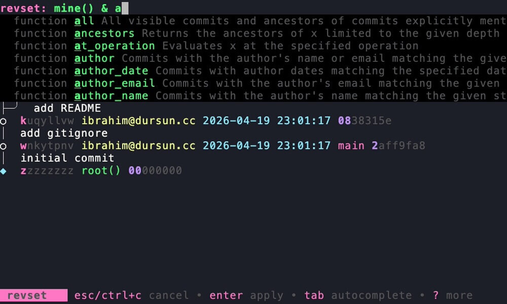 a screenshot of jjui